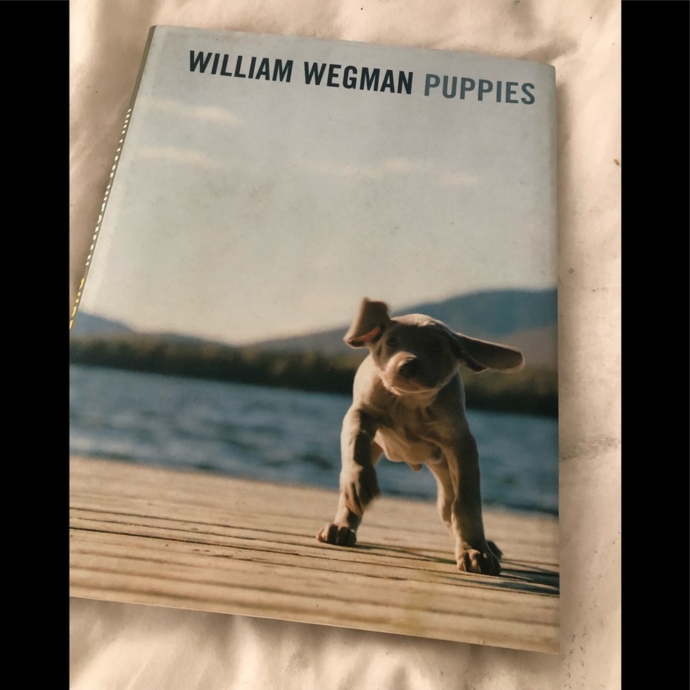 Puppies!- William Wegman Puppies Book